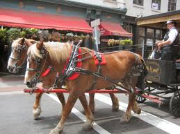 Calls For Horse Carriage Ban In Charleston